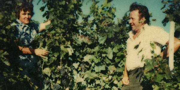 Više od 100 godina obiteljske tradicije proizvodnje kvalitetnog vina
